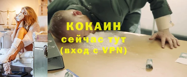 прущие грибы Волосово